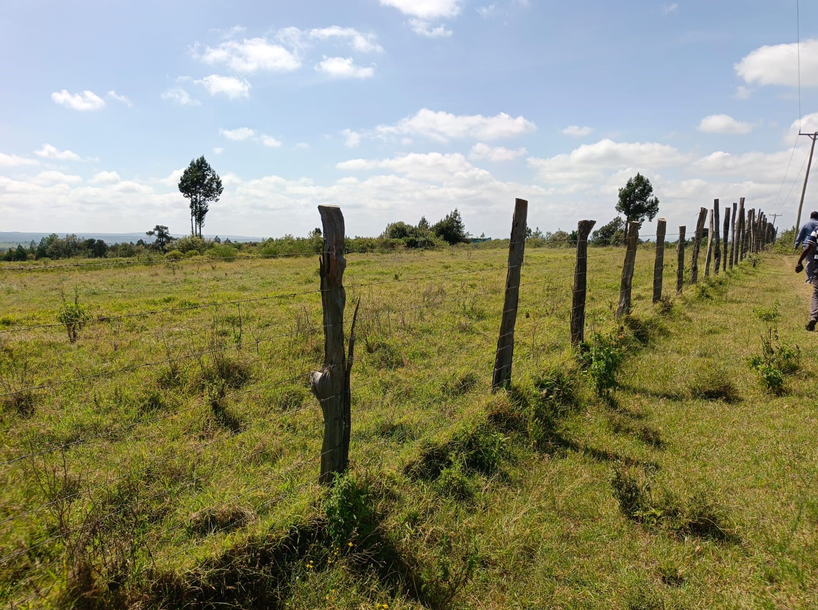 Olkinyei Narok 70 acres land electricity on site